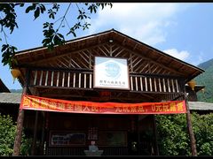 -天门沟九州驿站树上汤泉