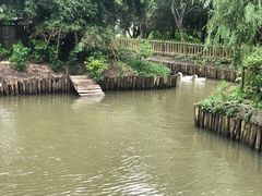 -上海长兴岛郊野公园