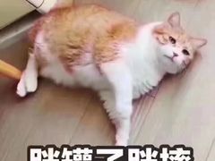 -李氏东北饺子王·铁锅炖(回龙湾店)