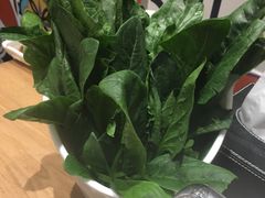 -掂档潮汕牛肉火锅(沈阳万象城店)