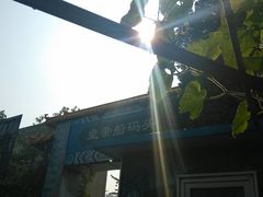 -皇家御河游(紫御湾码头)