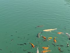 -水濂山森林公园