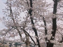 -上海南浦大桥长途旅游客运站