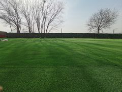 -亲兄弟真人CS团建拓展基地