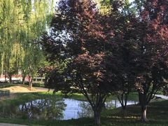 -元大都城垣遗址公园