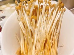 -海底捞火锅(高科广场店)