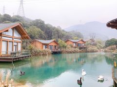 -杭州开元森泊度假乐园