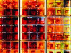 -哈根达斯(泉州万达店)