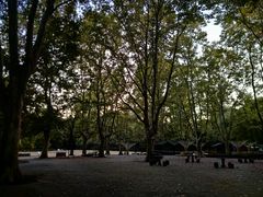 -上海共青森林公园