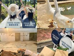 -军山湖云水间生态农业旅游景区