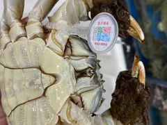 -阳澄湖大闸蟹海参(翟营大街总店)