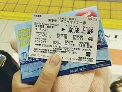 -江户樱花旅馆