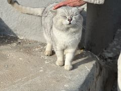 -辛庄国际文化艺术区
