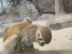 -泉州海丝野生动物世界