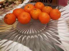 -太子园林酒家