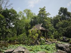 -中国科学院西双版纳热带植物园