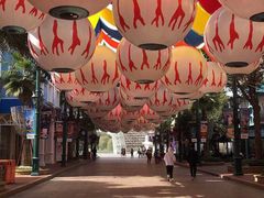 门面-上海欢乐谷