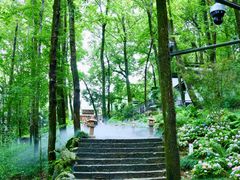 -杭州灵山景区