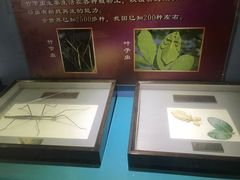 -上海昆虫博物馆