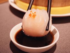 -采蝶轩
