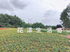 -保利石象湖景区