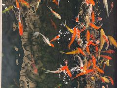 -龙悦湾酒家·八阵鱼生·渔人码头店