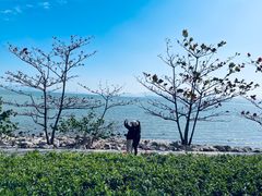 -深圳湾公园-停车场
