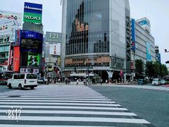 -涩谷区