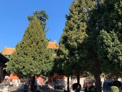 -历代帝王庙博物馆