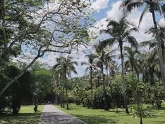 -中国科学院西双版纳热带植物园