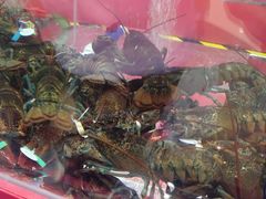 -渔家灯火(明湖店)
