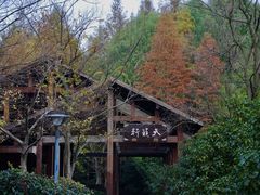 -长广溪湿地公园