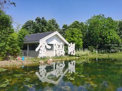 -金银湖国家城市湿地公园