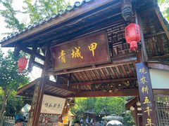 -青城甲(青城山店)