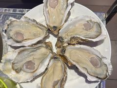 -千岛蚝高压锅生蚝·人参火锅(白云万达店)