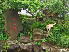 -无锡梅园公园