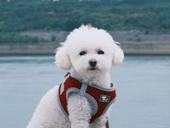 -黄河小浪底水利枢纽风景区