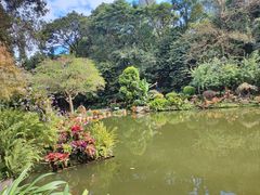 -深圳仙湖植物园