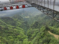 -梦幻奥陶纪景区