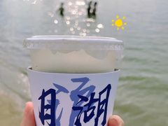 -上海月湖雕塑公园