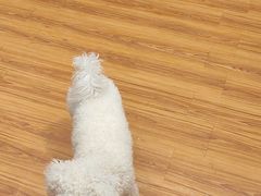 -释鸭台球桌游馆·年会生日团建聚会