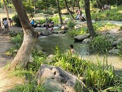 -新洲生态园