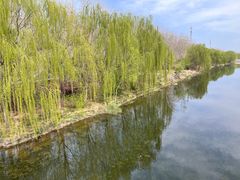 -马家湾湿地公园