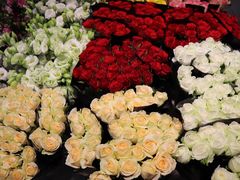 -双季花艺园艺市场(浦东店)