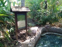 -三亚珠江南田温泉度假区