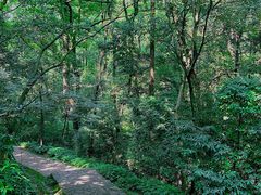 -岳麓山风景名胜区