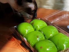 豆沙松仁青团-白玉兰传统小吃