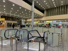 -谢列梅捷沃国际机场