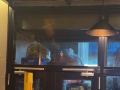 -缘生态云南菜·野生菌庭院餐厅(华侨城店)