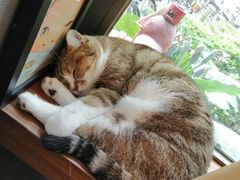 -咖法森林·咖啡  酒吧(天河店)